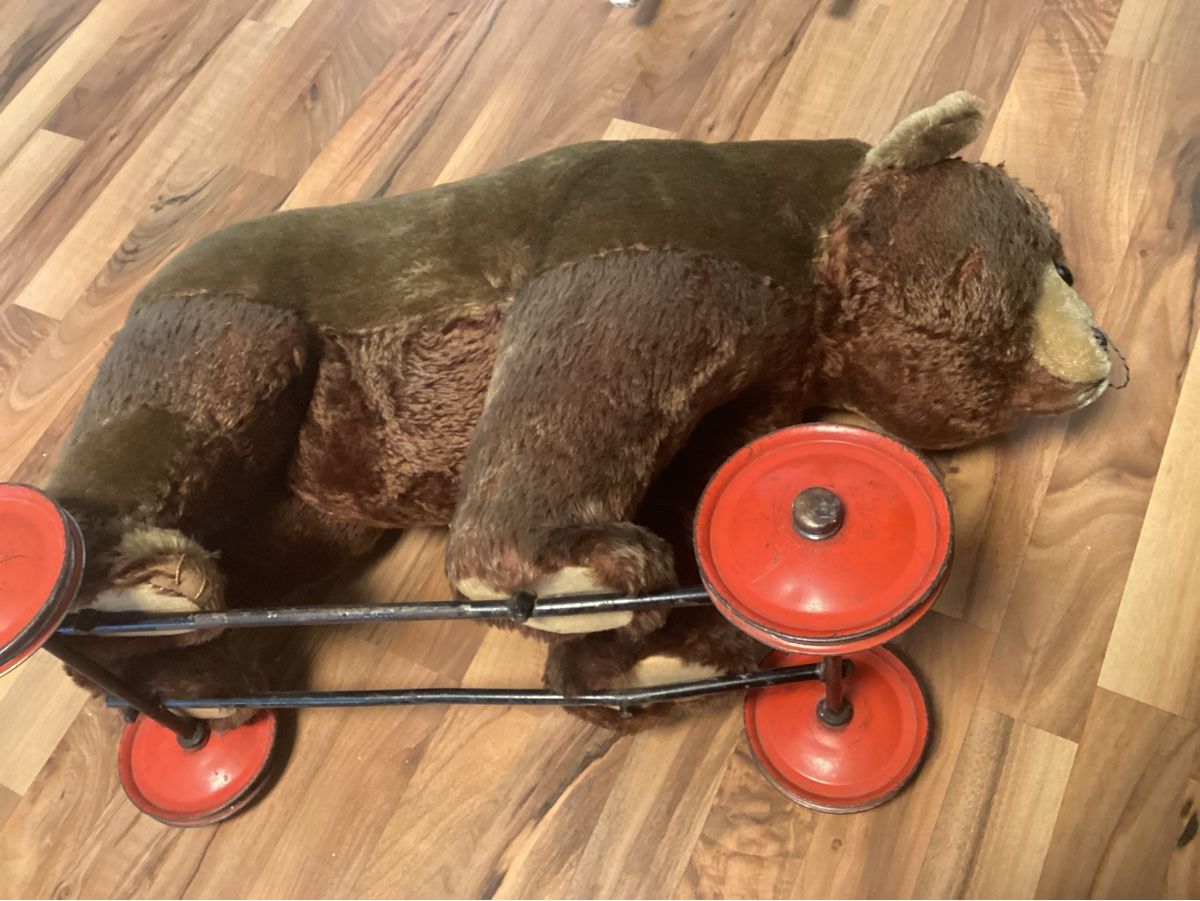 Steiff Spielzeuge: ALTER STEIFF TEDDY AUF RÄDER – Gebraucht aus Münchenstein von NoSu98 5