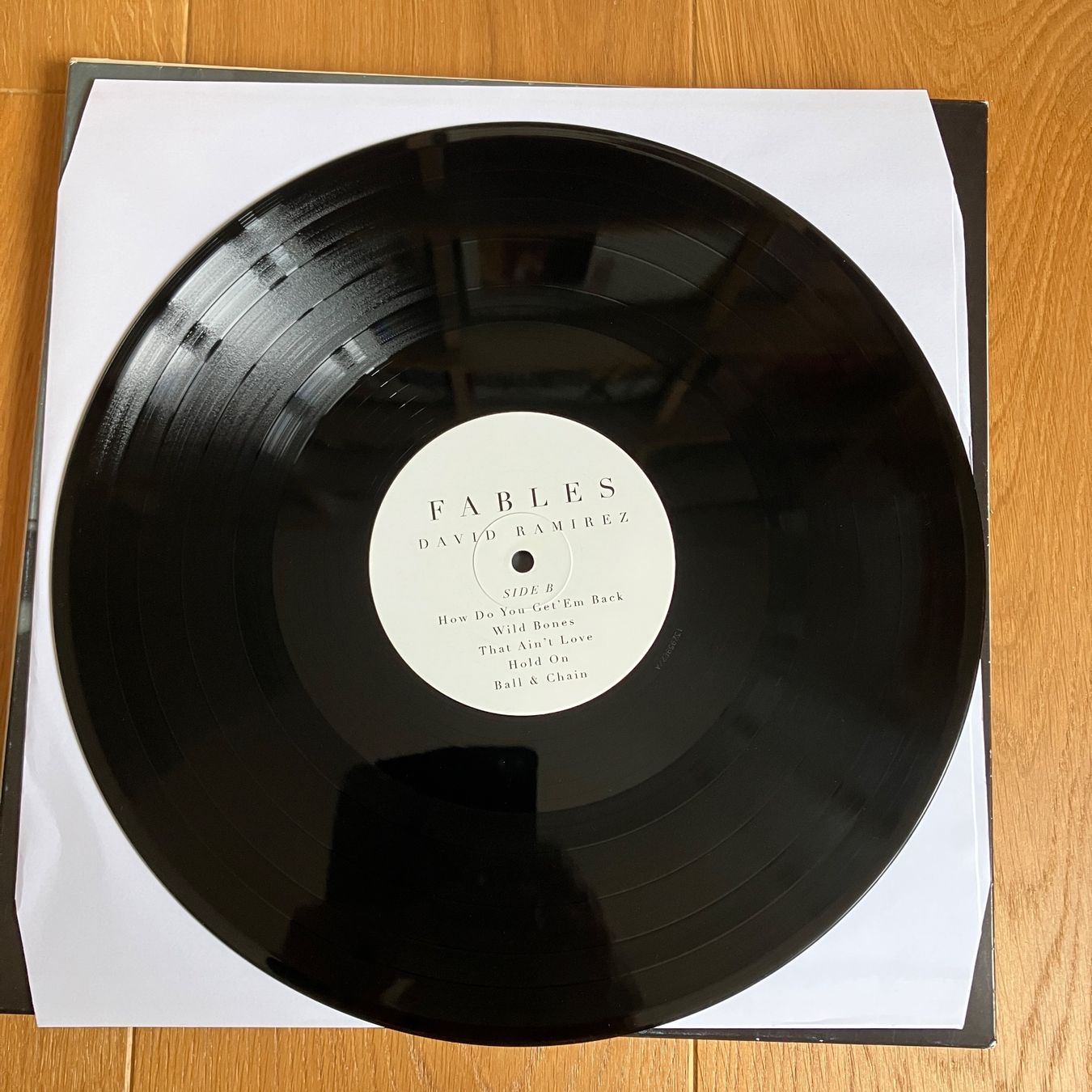 Dischi in vinile: David Ramirez – Fables – Usato da Altdorf UR venduto da Metallic0 1