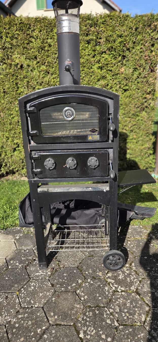 Forni per pizza: Pizza/Biotofen Smoker – Usato da Dürrenäsch venduto da 46ValentinoRossi46 4