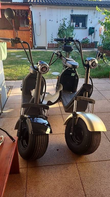 Veicoli elettrici: E Scooters in TOP-Zustand 1Jährig – Usato da Pratteln venduto da ayt_h87k