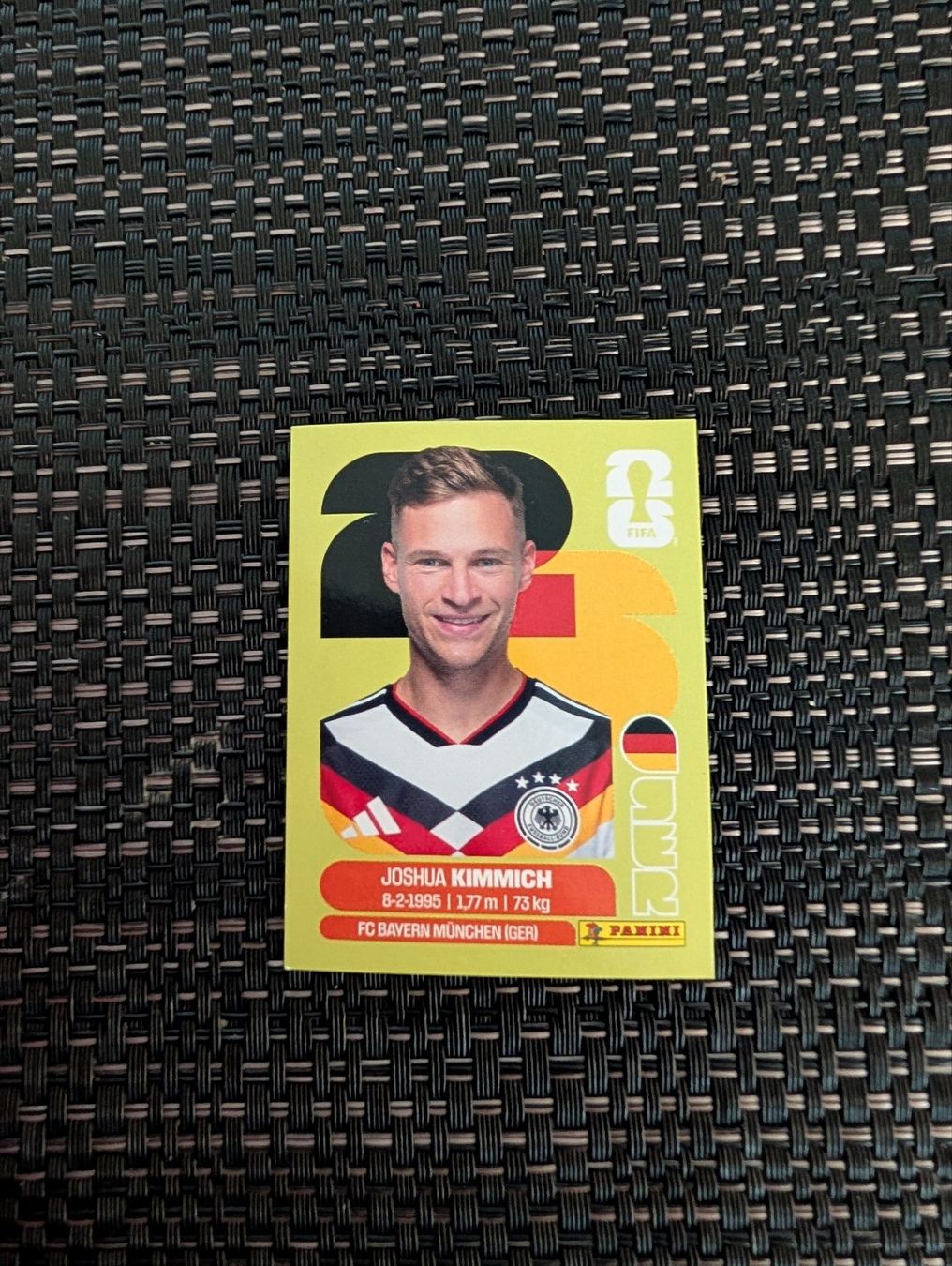 Panini Carte collezionabili: Sticker WM 2026 GER 10 – Usato da Wangen SZ venduto da Bouti0