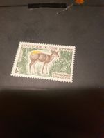 Timbre rare Côte d'Ivoire, Antilope Céphalophe Sylvic.