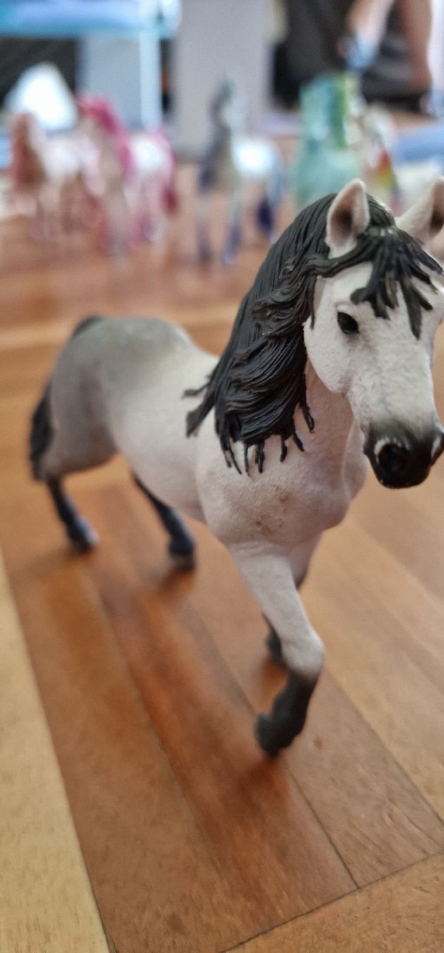 Schleich Jouets: Schleichtiere – Neuf (Voir description) à Wallisellen par sugon 4