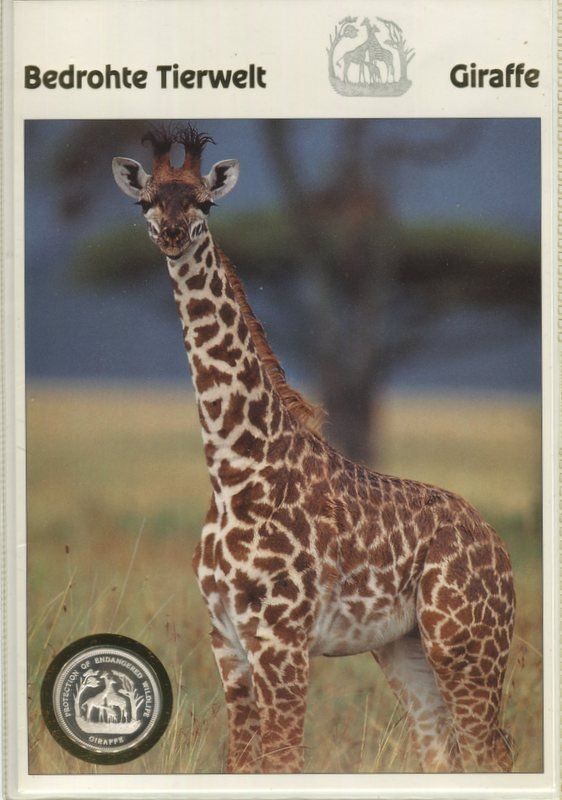 Tutti le monete: Silbermünze "Giraffe. 7.000 Francos Äquatorialguinea". PP. – Nuovo e nell'imballaggio originale da Basel venduto da Butsch5