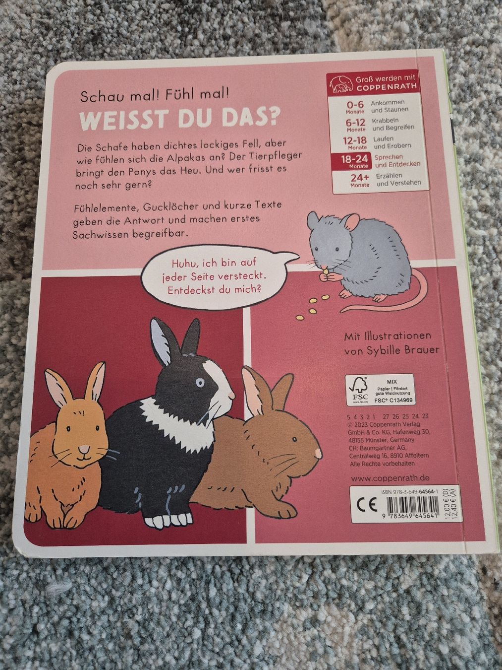 Libri: Mein Fühlwörterbuch – Nuovo (secondo la descrizione) da Greifensee venduto da Angela120 1