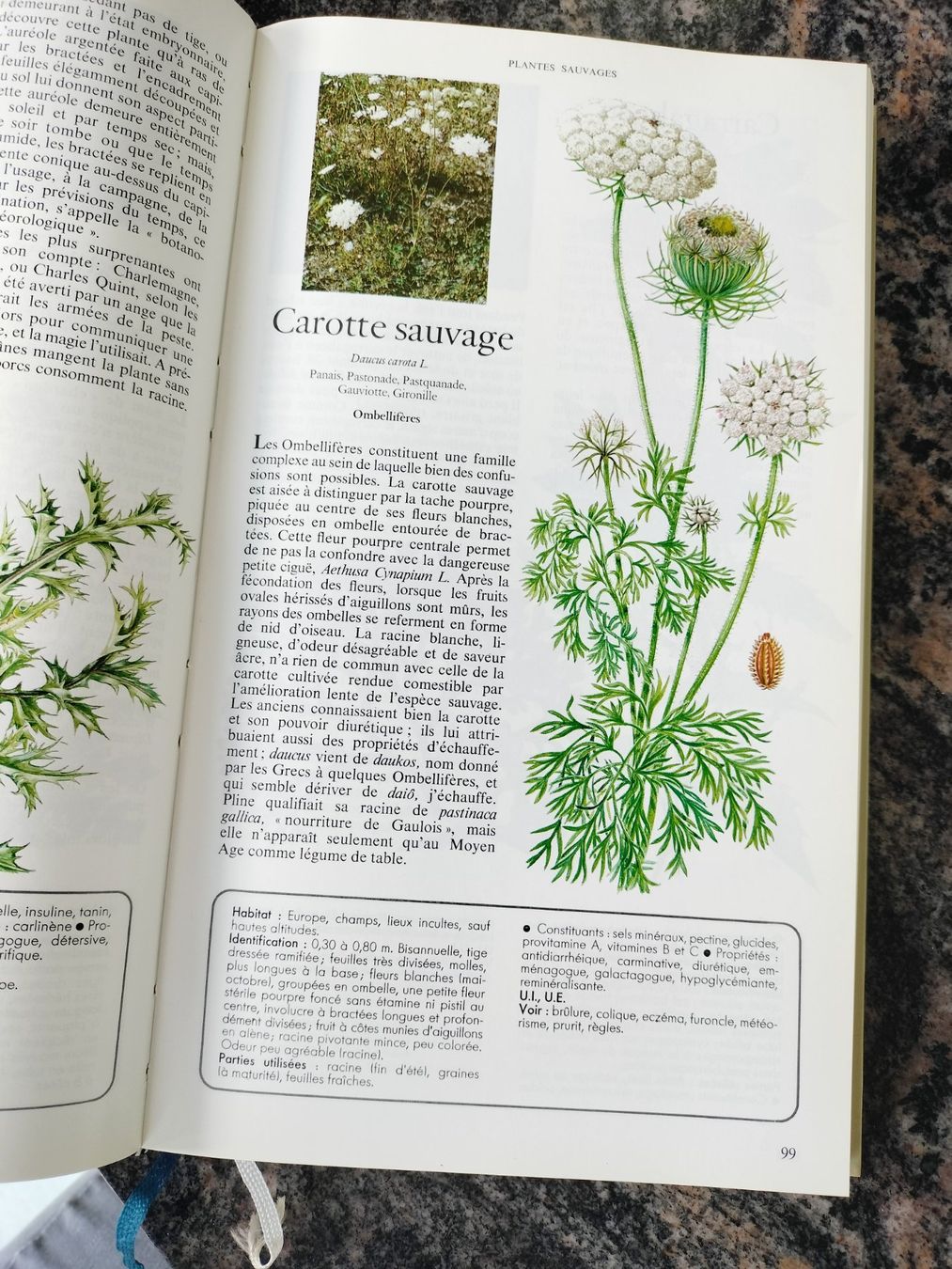 Libri: Secrets et vertus des plantes médicinales – Usato da Cortaillod venduto da rozinna 3