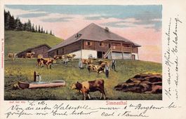 Simmenthal, Auf der Alp, Stempel Rinderberg, um 1900