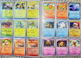 Pokémon TCG – Lot 47 cartes DRI EN – 13 Holo/Reverse 