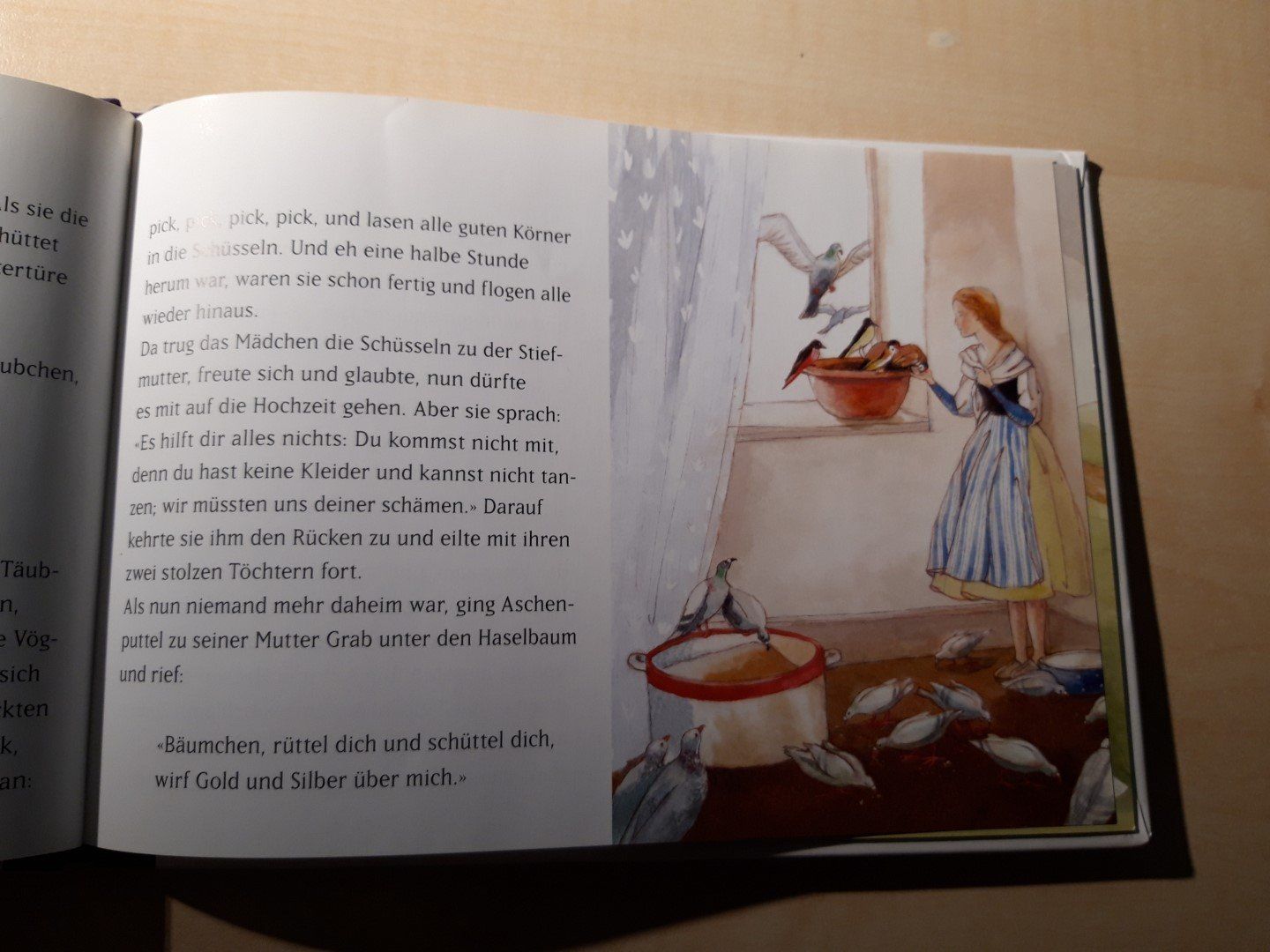 Libri: Aschenputtel – Usato da Egliswil venduto da Cracky81 2
