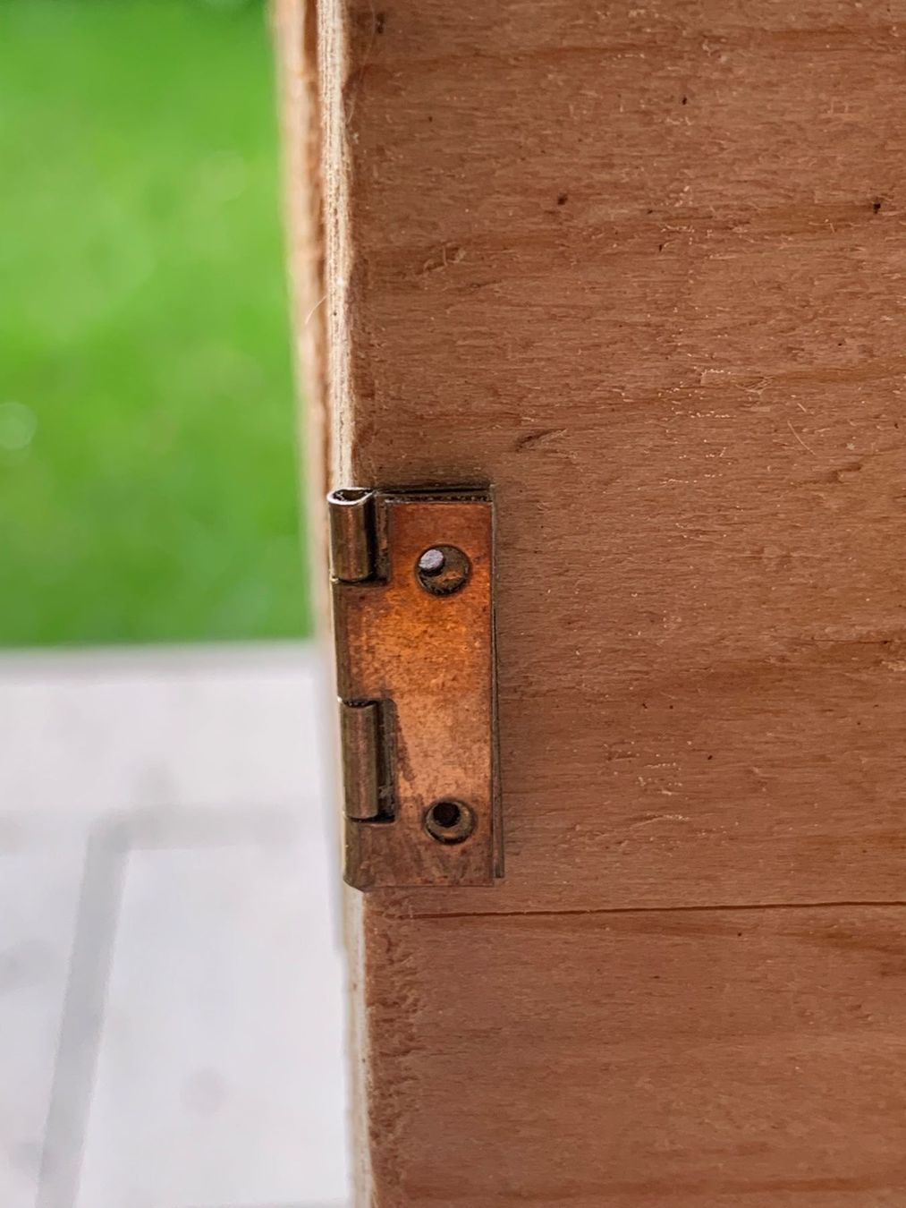 Ferramenta: Schrauben 1,4x5mm Schlitz – Nuovo (secondo la descrizione) da Homberg b. Thun venduto da Treeart-1 3