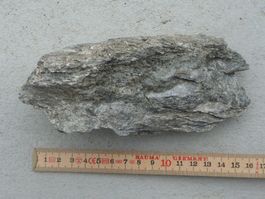 Hornblende (strahlenstein) von Rabenwald (Steiermark)