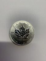 Kanada Maple Leaf Silbermuenze 2013