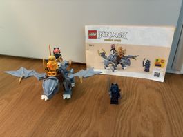 LEGO Ninjago 71810 Vollständig/ Young Dragon Riyu