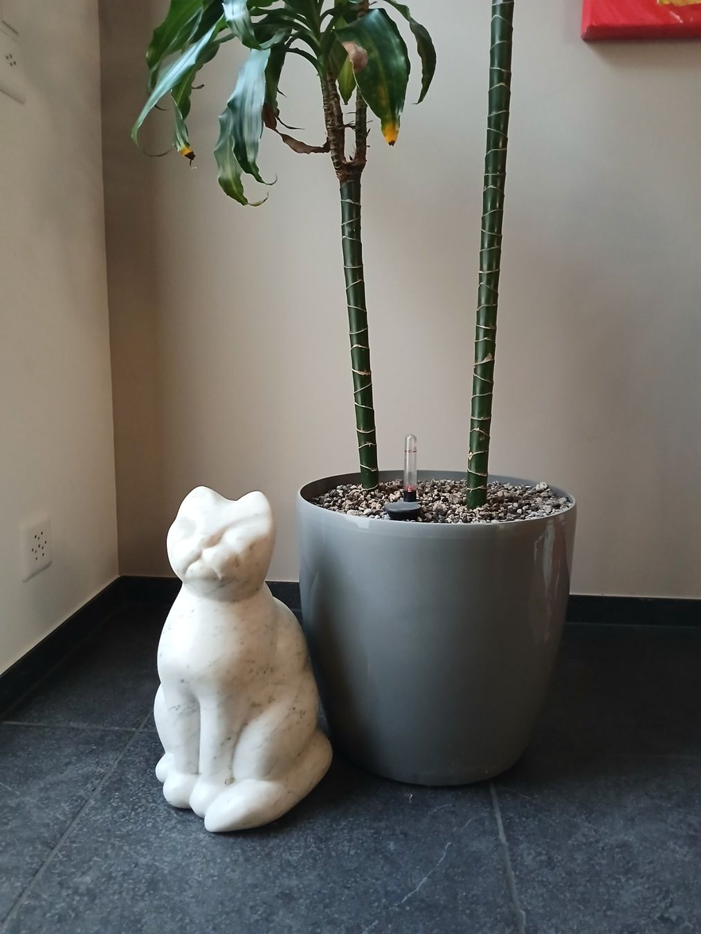 Skulpturen & Statuen: Grosse Katze aus Carrara Marmor - schwer - 36cm – Gebraucht aus Hinwil von Chnap