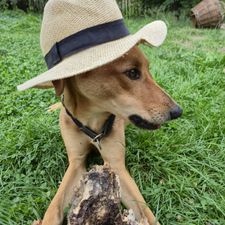 Profile image of IDA_secondhand