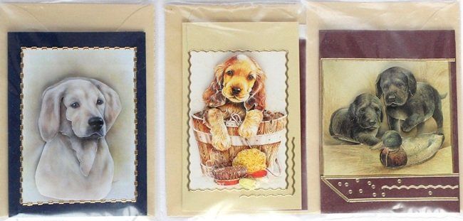 Cartoline: Minikarte Hund – Nuovo (secondo la descrizione) da Schlatt TG venduto da glueckwunschkarte.22