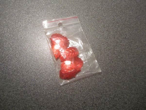 Bastelsets: Pailletten rot, Blätter – Gebraucht aus Zürich von Motzkuh