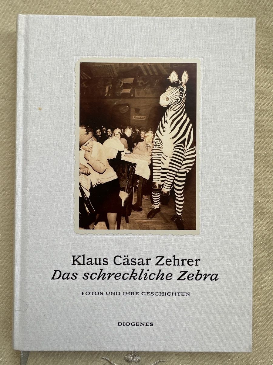 Libri: Klaus Cäsar Zehrer: Das schreckliche Zebra – Usato da Bern venduto da schnupka