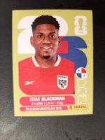 Panini 2026 PAN9