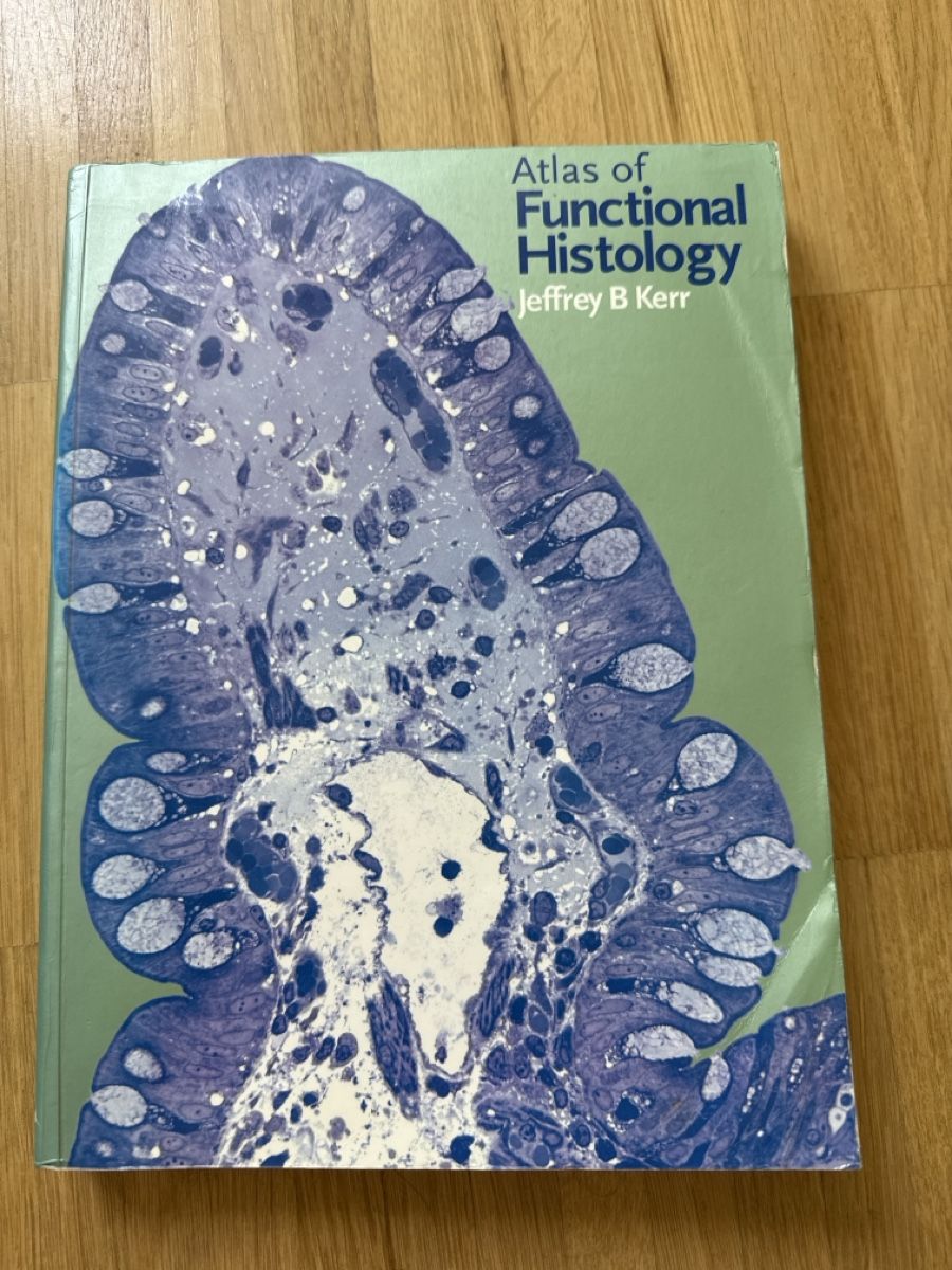Bücher: Biomedical / medical studies books – Gebraucht aus Pieterlen von L.Huber 4