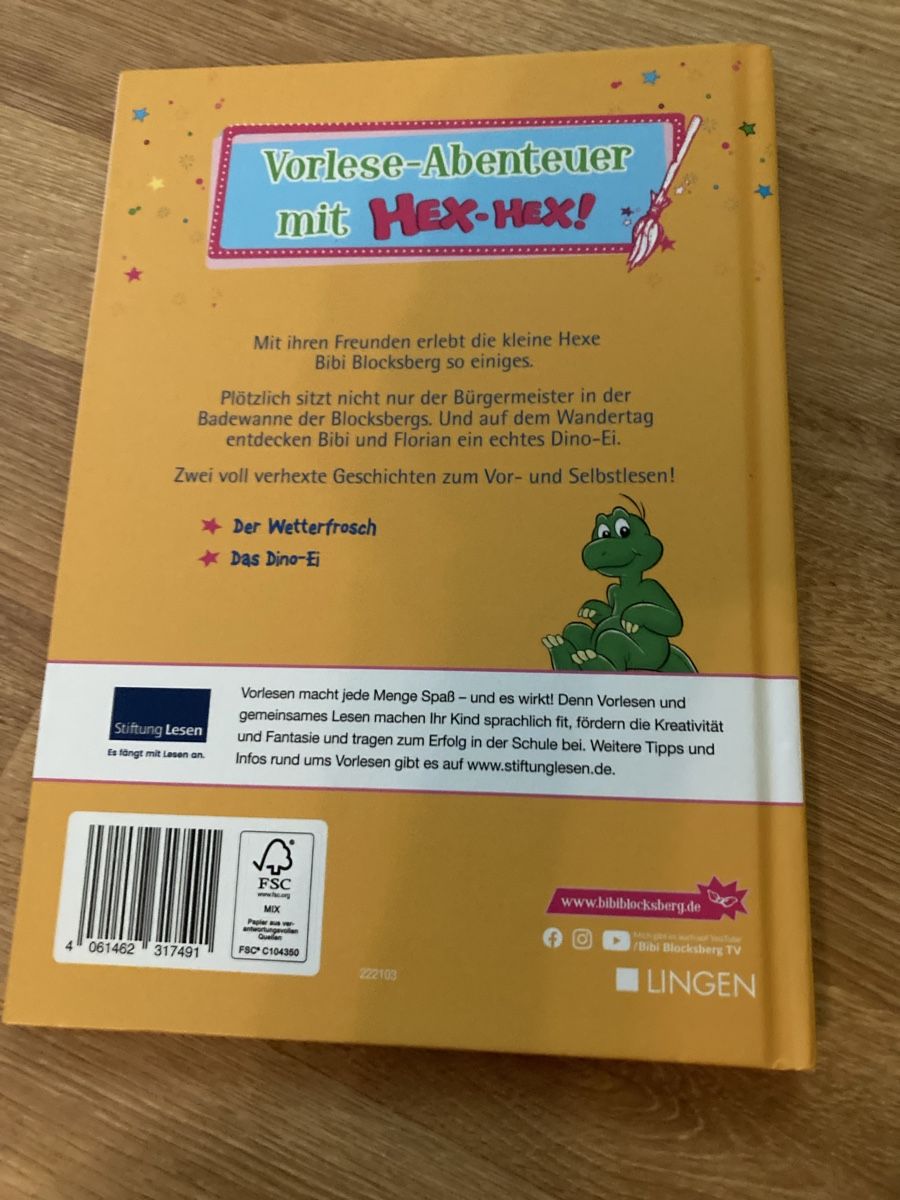 Libri: Bibi Blocksberg und Bibi und Tina Bücher – Usato da Emmenbrücke venduto da JJ_89 1