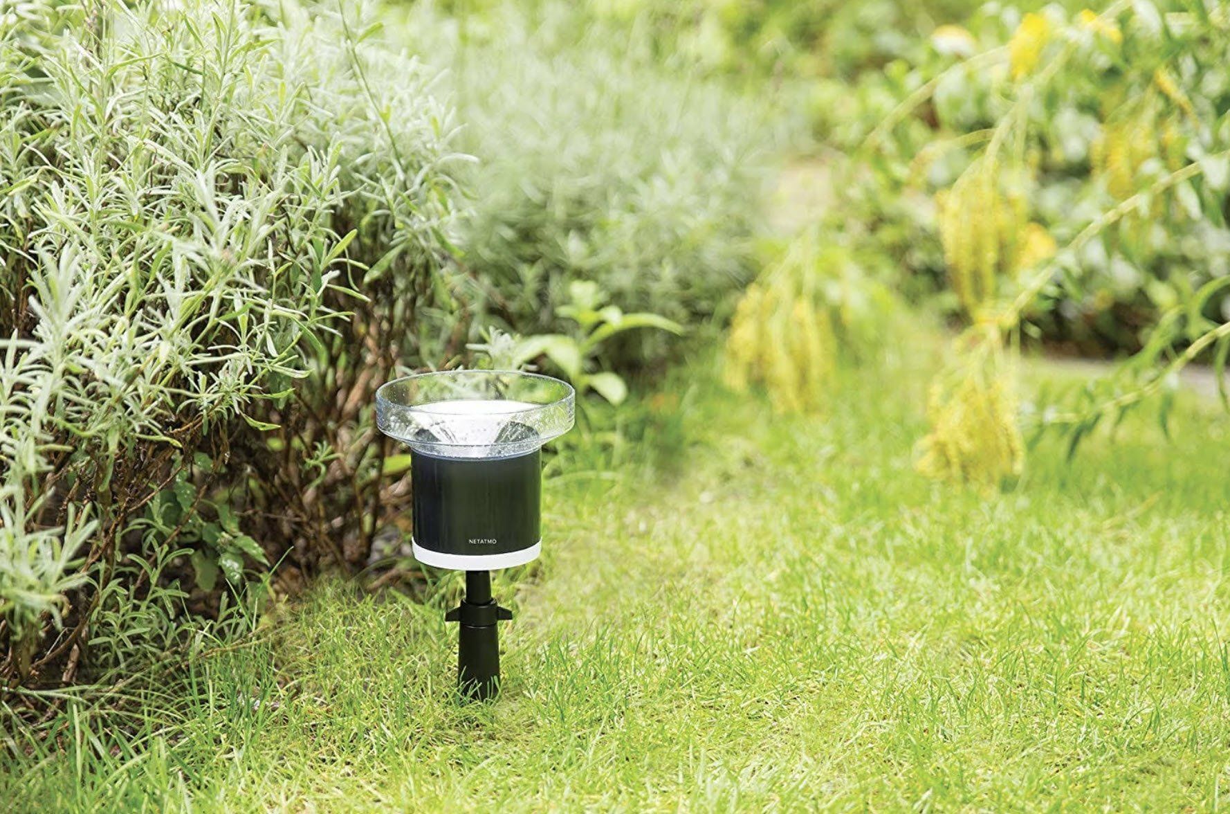 Netatmo Altro per la casa: Netatmo Smarter Regenmesser, Fabrikneu – Nuovo e nell'imballaggio originale da Unterengstringen venduto da Tnovus 4