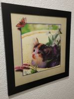 3D Bild Katzenmotiv mit Schmetterlingen gerahmt guter Zustan
