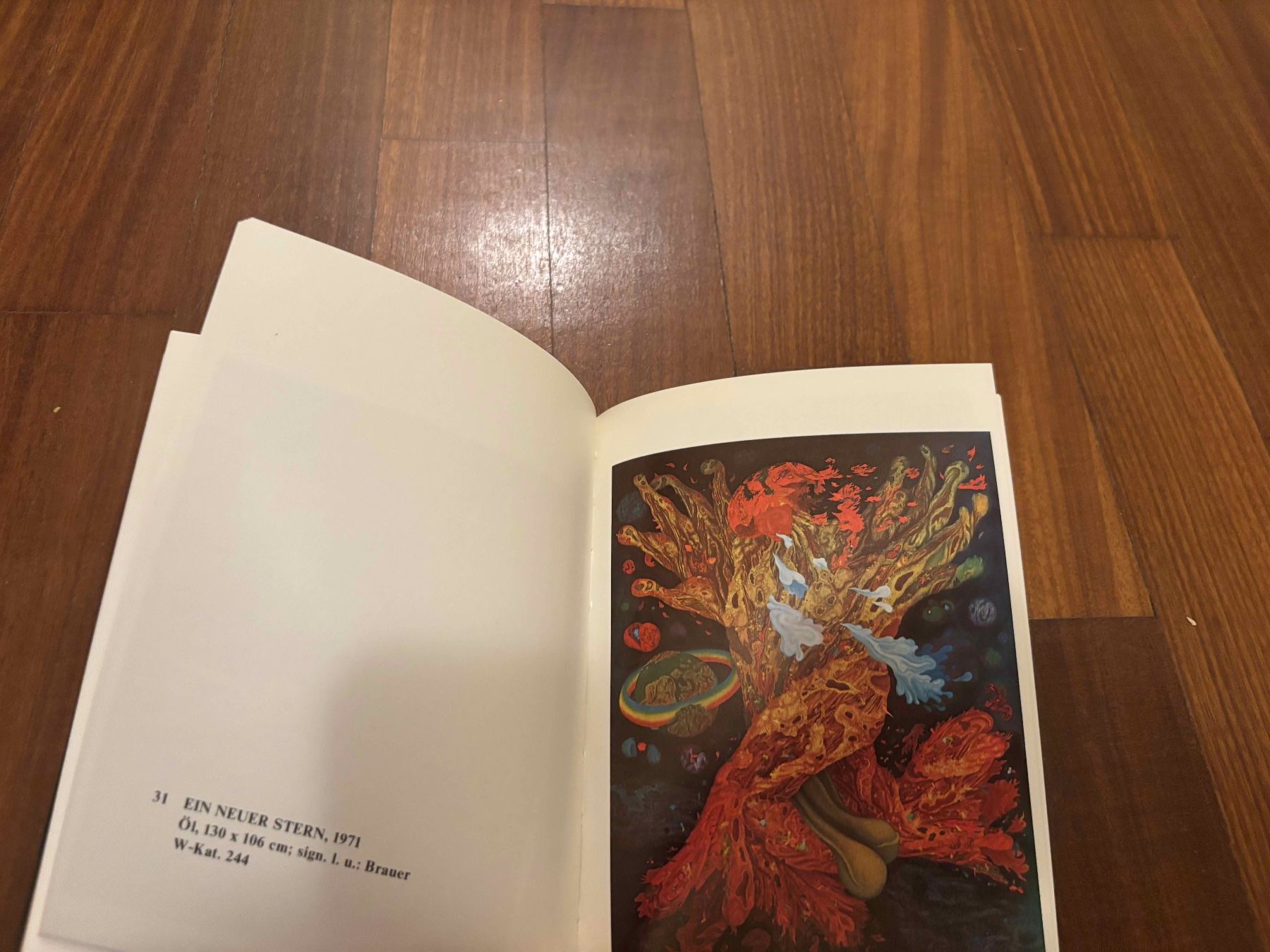 Libri: Brauer – Usato da Lugano venduto da Mark_Young 2