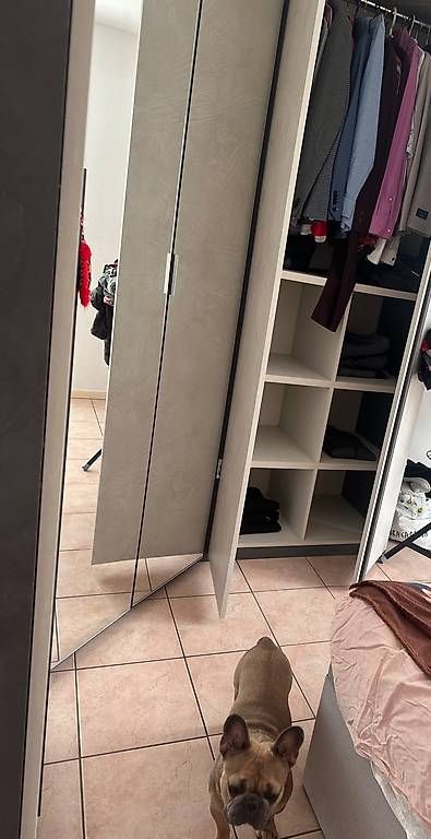 Mobilhome: Vendo armadio (mobiletto incluso )  – Usato da Ascona venduto da jos_ftk2