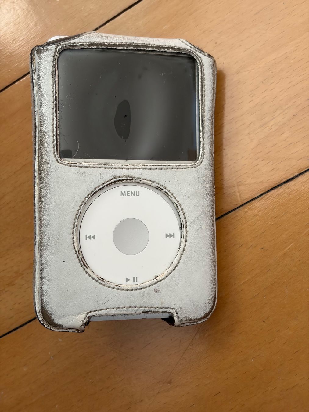 Apple Lettore multimediale portatile: Apple iPod – Usato da Basel venduto da frepet 3