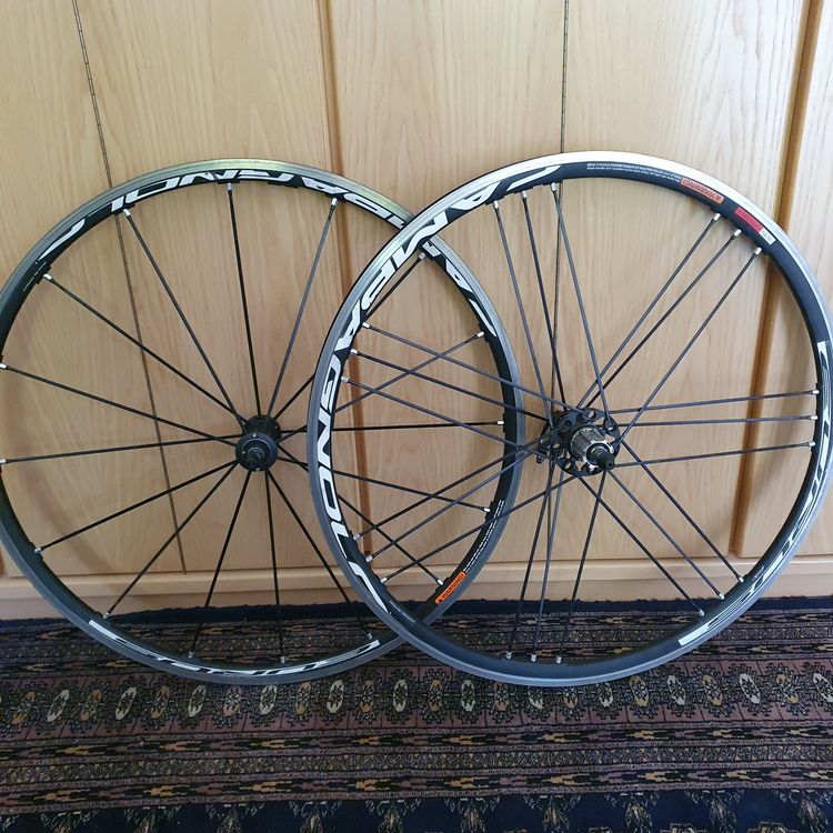 Rayon De Roue Arrière Gauche Campagnolo Eurus 276,5 Mm - WH-107SHB - Noir