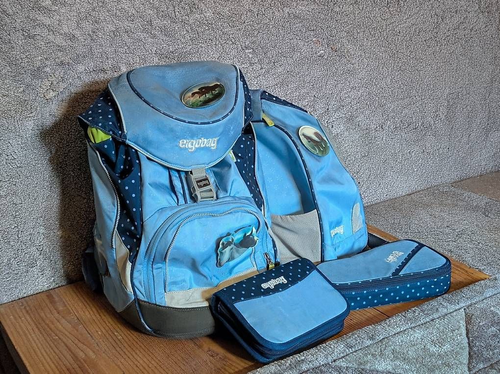 Borse & Zaini: Ergobag – Usato da Buchs SG venduto da kuhn2cus