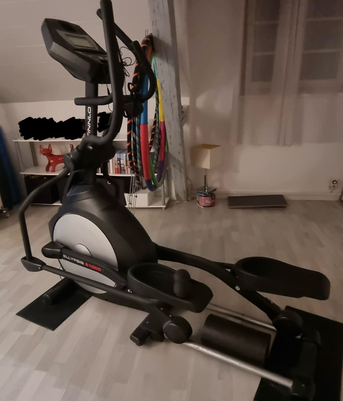 Finnlo Ellypsis E 1000 Crosstrainer (D'occasion) à Neudorf pour
