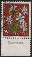 30 Rp. Rittersporn mit TAB (Dauphinelle)