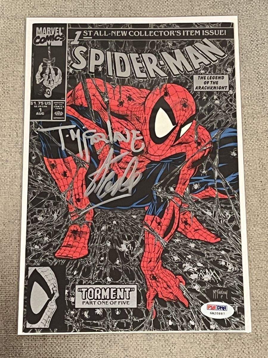 Fumetti: Spider-Man #1 Silver Edition Stan Lee Todd McFarlane – Usato da Winterthur venduto da WintiFunde