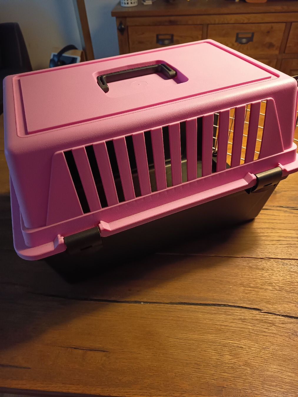Gabbie, trasporto & Sicurezza: Katzen/Kleintier Transportbox  – Usato da Belp venduto da lamadefi12 2
