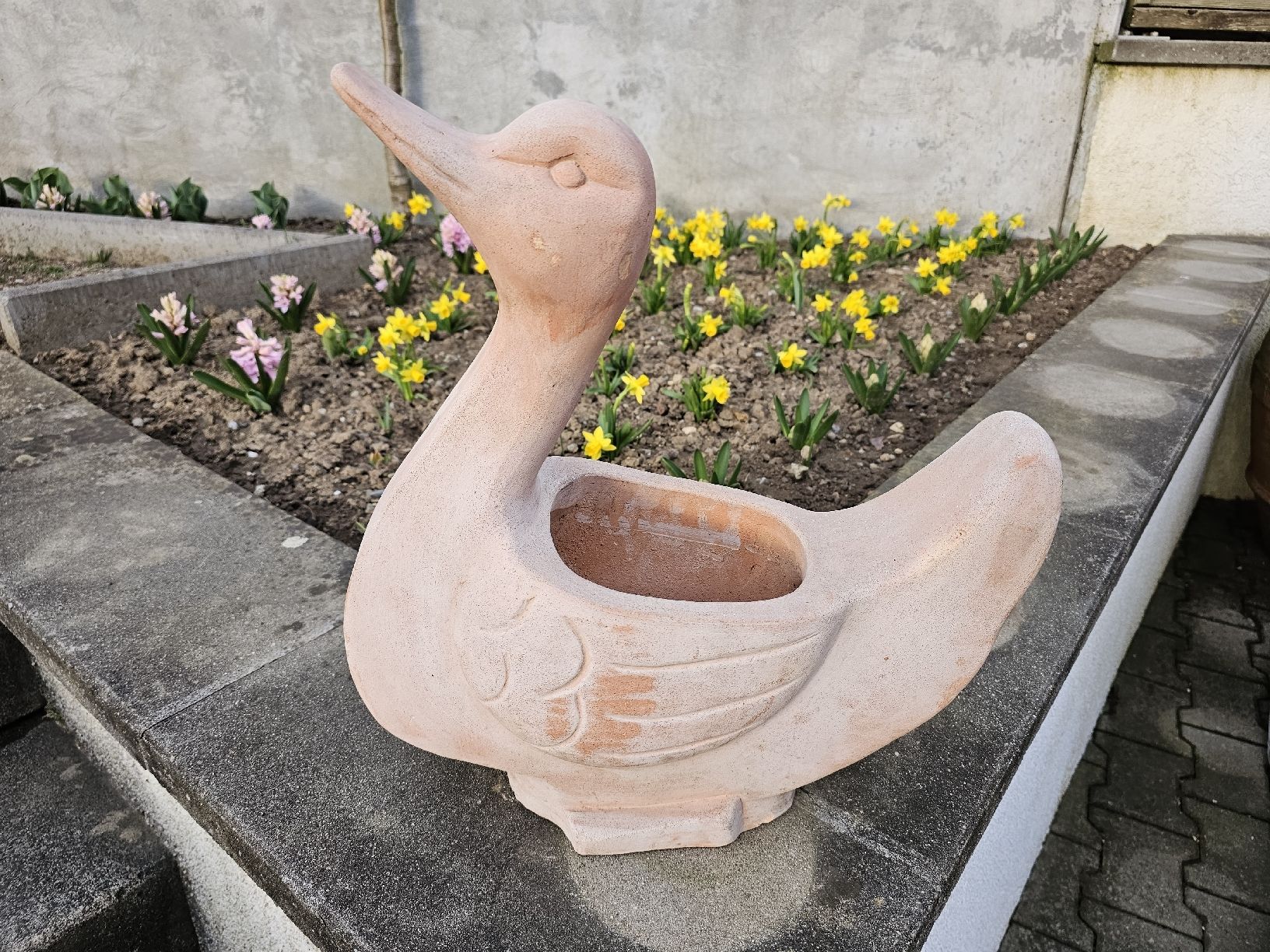 Vasi per fiori: Blumentopf Terracotta Schwan – Usato da Villnachern venduto da hasta08