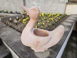 Blumentopf Terracotta Schwan
