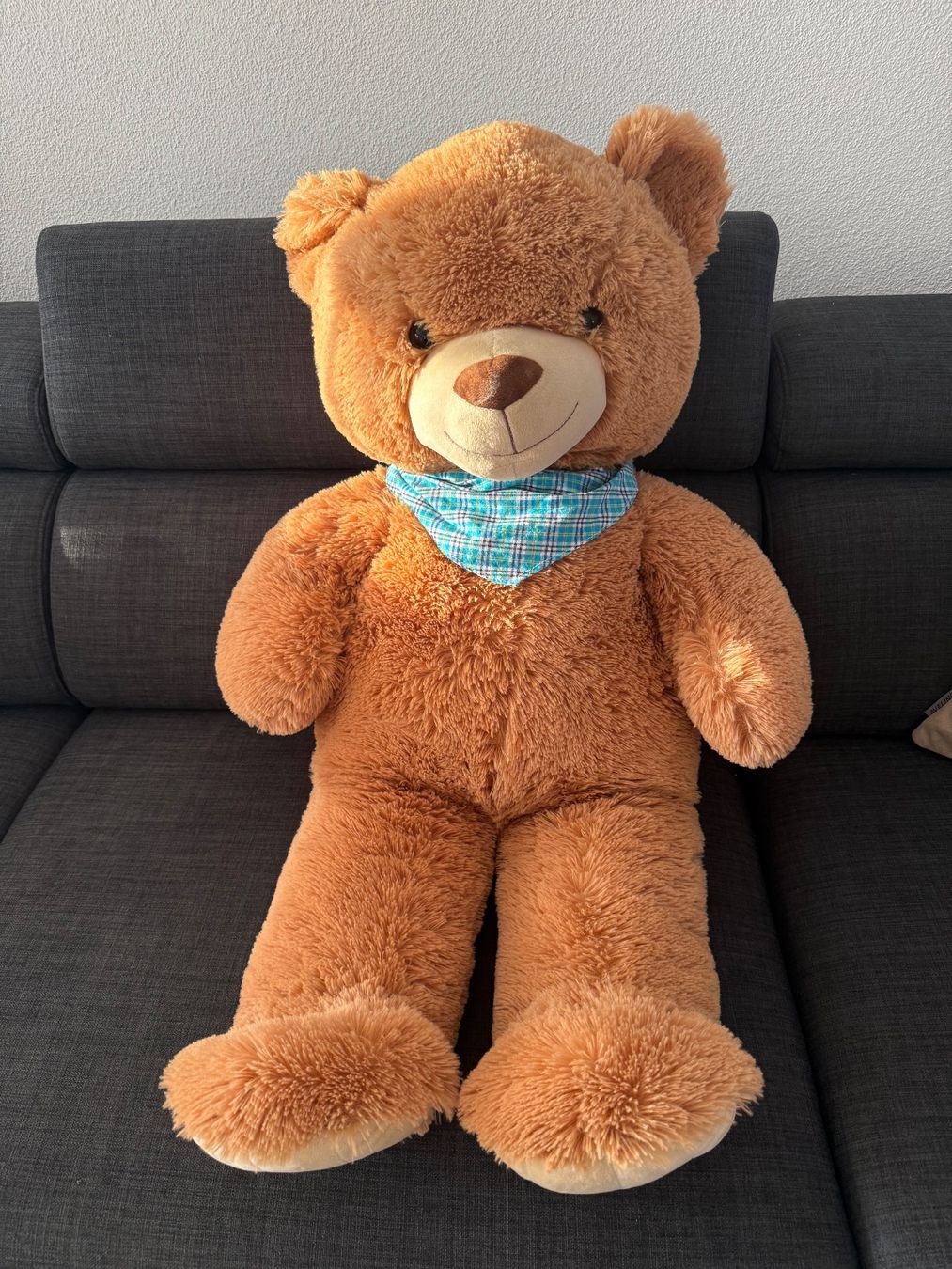 Giocattoli: Teddybär Plüsch 1m CE geprüft – Nuovo (secondo la descrizione) da Richterswil venduto da Eunoia85