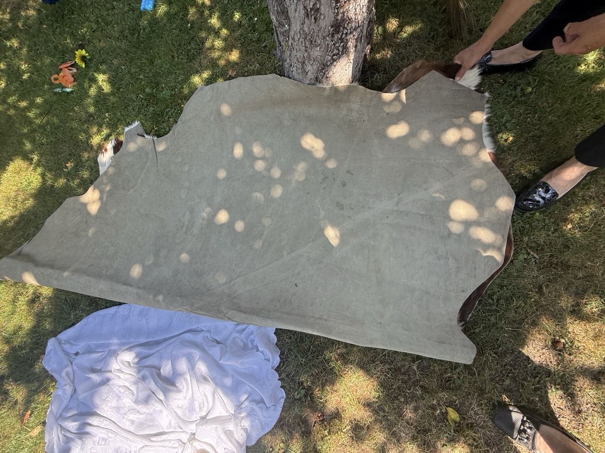 Tappeti: Fell Teppich Kuhfell braun weiss gross – Usato da Zürich venduto da Krikri21 2