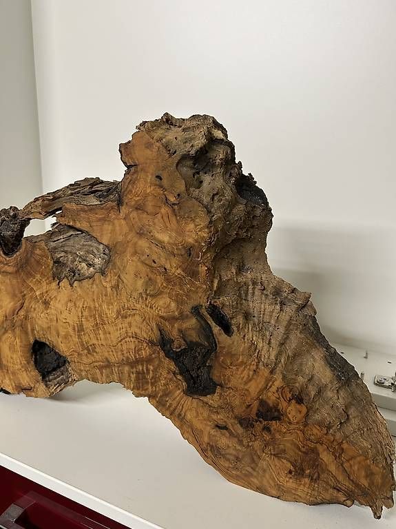 Articoli in legno: Schöne Olivenholz Scheibe – Usato da Allschwil venduto da Haffelow 2