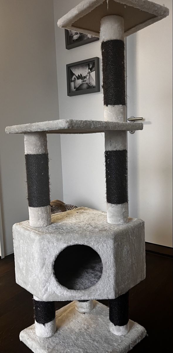 Arbres à chats: Katzenbaum – D'occasion à Ermatingen par bue_v8v8