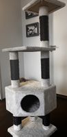 Katzenbaum