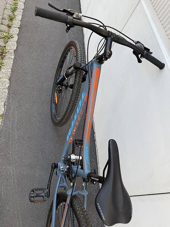 Biciclette: Fahrrad Mountainbike 29" Totem – Usato da Glarus venduto da dor_5jpp 3