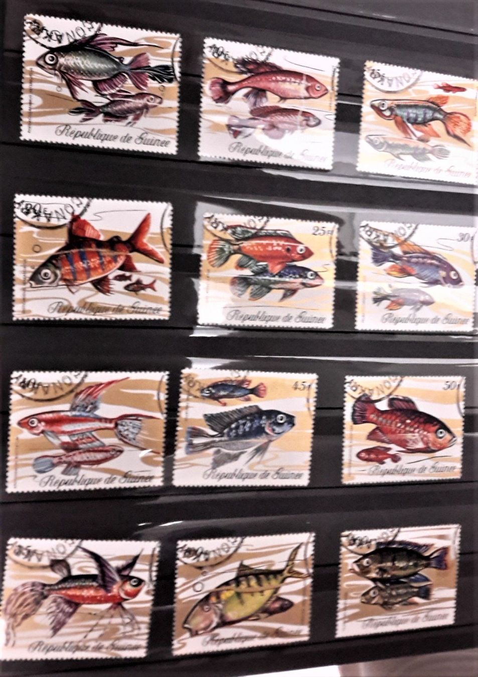 Alle Briefmarken: Internationale Briefmarken THEMA-Sammlung  "FISCHE DER WELT" – Neu (gemäss Beschreibung) aus Zug von Aeschroot 8