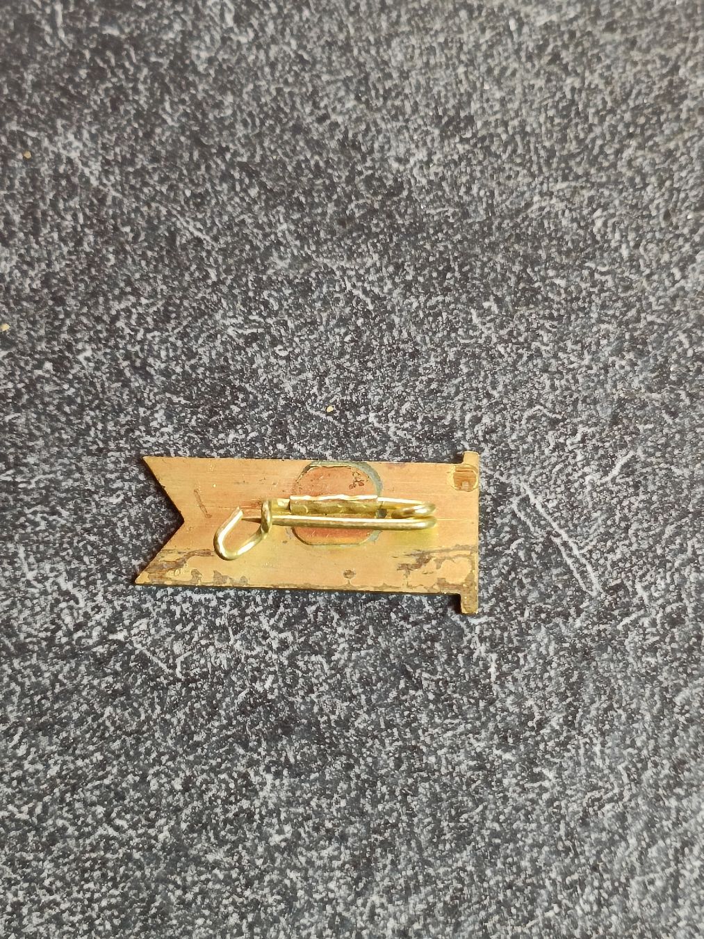 Jaguar Placchette & Badge: Altes Werbe Abzeichen / Fahrräder Standard Jaguar ca. 1950 – Usato da Brugg AG venduto da Ente015 1