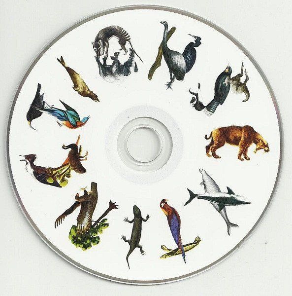 CD: Burning Hearts - Extinctions – Usato da Unterbäch venduto da buqiq 2