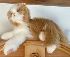 Steiff Princess Katze, liegend, hellbraun/weiß