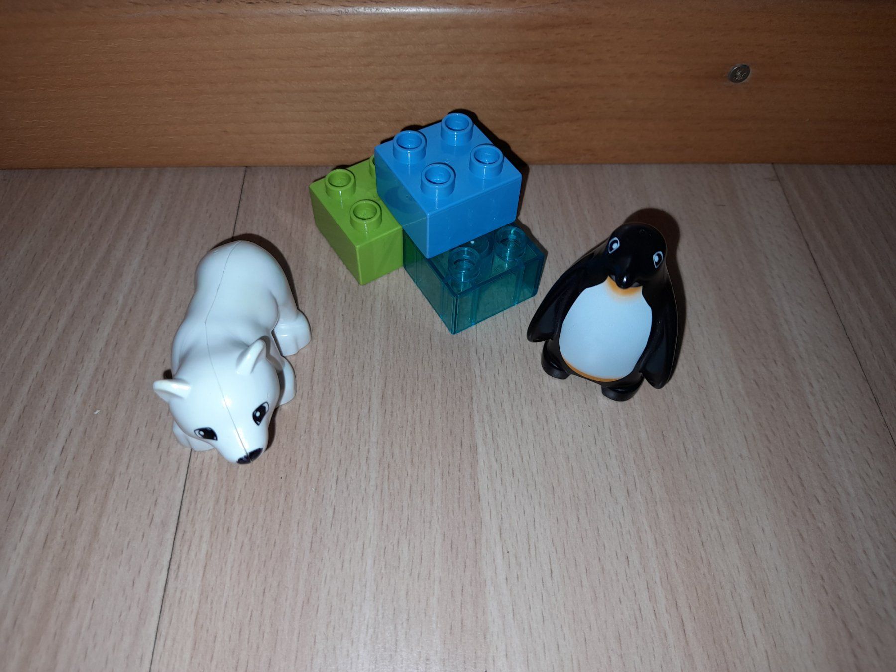 Lego Giocattoli: Lego Duplo Polartiere 10501 – Usato da Wittenbach venduto da Gugielmo 2