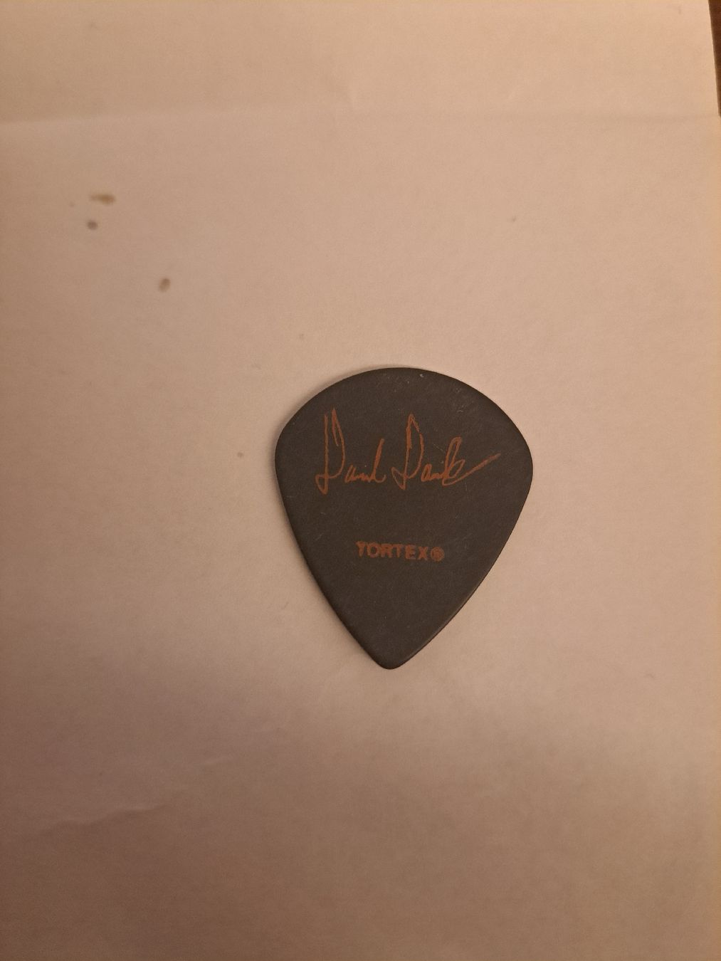 Autografi: REVOCATION Guitar Pick Plektrum mediator – Nuovo (secondo la descrizione) da Sierre venduto da ronhextall 1